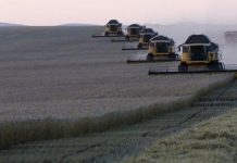 Rusia vijon me kushtet ndaj Perëndimit: Na hiqni sanksionet nëse doni grurë