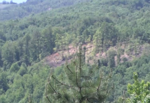 Po “masakrohet” mali Jabllanicë! Banorët e Vishnjës dhe Ladorishtës të shqetësuar kërkojnë zgjidhje