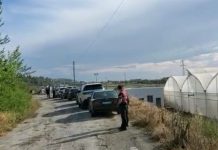 Një person në Fier gjendet i vdekur pranë serës ku punonte roje, kohë më parë ishte përfshirë në një konflikt