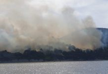 Zjarr në Ishullin e Sazanit, digjen pisha e shkurre në “Plazhin e Gjeneralit”