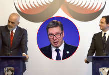 “ Ky qenka vëllai i Albinit, e jo i Vuçiqit”