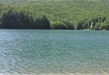 Vrasja për xhelozi në Maliq – Arrestohen tre autorët e dyshuar