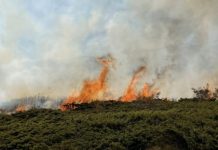 Zjarri në Dellçevë është vënë nën kontroll