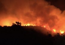 Zjarret godasin Europën/ Beteja me flakët në Gjermani, Çeki, Francë, Itali, Slloveni, Spanjë dhe Greqi