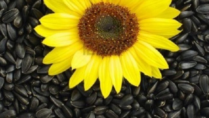 038DD3DF-FA8F-40C5-9F5F-C780E73CD9E7