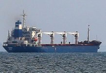 Pas gjashtë muaj luftë, anija e parë me grurë nga Odessa arrin në Stamboll