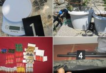 Në Gjilan e Han të Elezit, arrestohen katër persona për kultivim dhe trafikim me narkotik