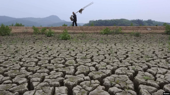 3BB96313-92E2-4482-8462-6FAB12E99034_w1023_r1_s