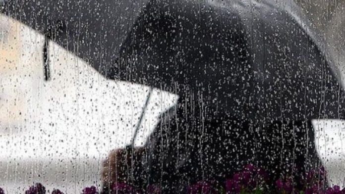 48C26F55-0425-41F5-A7A4-EF5BA3BE8A70