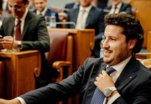 Tri opsionet për Malin e Zi pas rënies së qeverisë së Abazoviqit