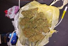 Gjendet drogë në rrethinën e Tetovës, arrestohen shtatë persona