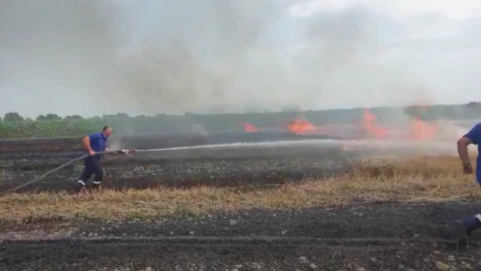 AE16C7EF-BC22-487E-BDF9-06F8B87C61FD