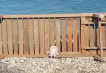 Një ditë pas tragjedisë në Himarë, plazhi i braktisur – vetëm një kukull shihet te shezllonet