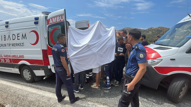 aa_picture_20220825_28726877