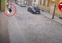 Publikohet video-incizimi i djegies së qendrës kulturore “Ivan Mihajllov” në Manastir