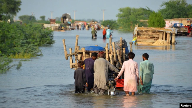 01320000-0aff-0242-32f5-08da89a34feb_w650_r1_s