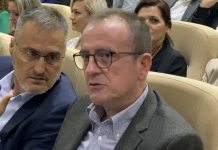 Taravari edhe zyrtarisht kryetar i Aleancës për Shqiptarët deri në kongresin e partisë