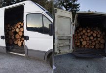 Tre të arrestuar për transport të drurëve pa leje