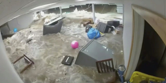 E5F92F93-2374-4DEB-9F00-C4836B42A583