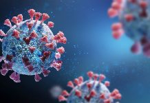 Studiuesit zhvillojnë nanomaterialin anti-SARS-CoV-2