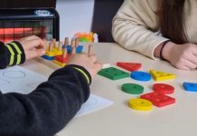 Prindërit reagojnë ndaj ministres Trençevska/ “S’ka asistentë arsimorë për nxënësit me aftësi të kufizuara”