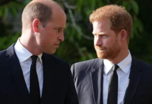 William dhe Harry krah për krah pas arkivolit të Mbretëreshës