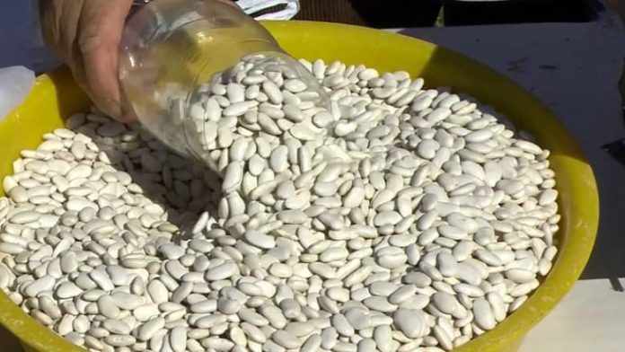 FB_IMG_1665606457238 (1)