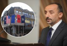 Bejta: BDI-së i nevojiten njerëz si unë, me shumë njohuri (Video)