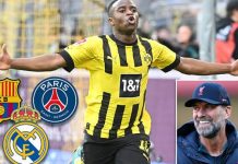 Sensacionin e Dortmundit po e duan gjigantët evropianë