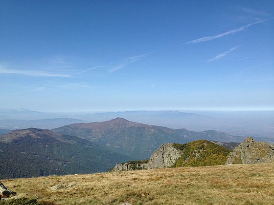 Китка_(од_Лисец_на_Голешница)_03