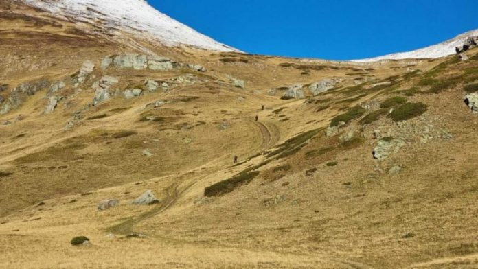 IMG-689a4fe6681a73e85146b627b9a195e1-V-1024x577-1-780x439