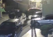 Alsat: Zbardhet incidenti në Kumanovë