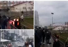 Arrestohen 5 tifozë nga Shkupi, sulmuan tifozët shqiptarë (Video)