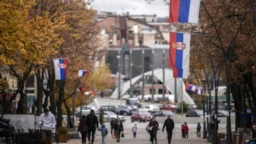 01160000-0aff-0242-c217-08da75fd994e_cx0_cy10_cw0_w256_r1