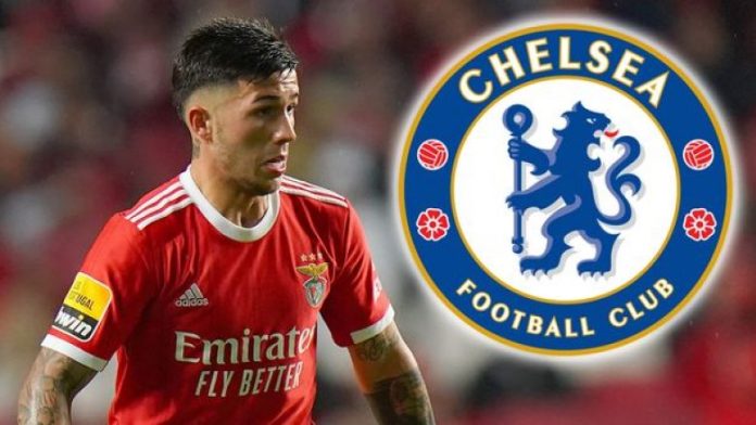 0_MIRRORFERNANDEZ-780x439