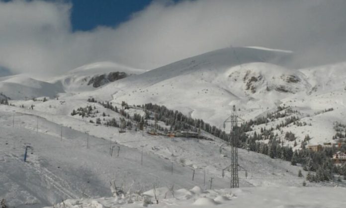 894111C3-841D-4D29-99D6-C92AD7232B52