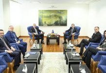 Nenad Stanojeviq dhe Lazar Raduloviq emërohen zëvendësministra