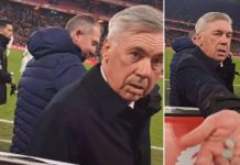 Momenti surreal i Ancelottit me një tifoz: Më jep një çamçakëz, më jep çamçakëz