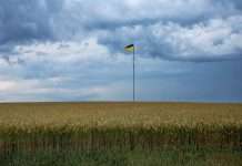 Sllovakia vendos ndalesë në importet e grurit ukrainas