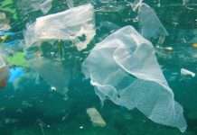 G7 zotohet për dhënie fund të ndotjes plastike deri më 2040
