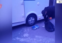 Kapet me 118 kg kanabis të fshehur në rulot në Kapshticë, rumuni hiqet si biznesmen i ardhur për pushime