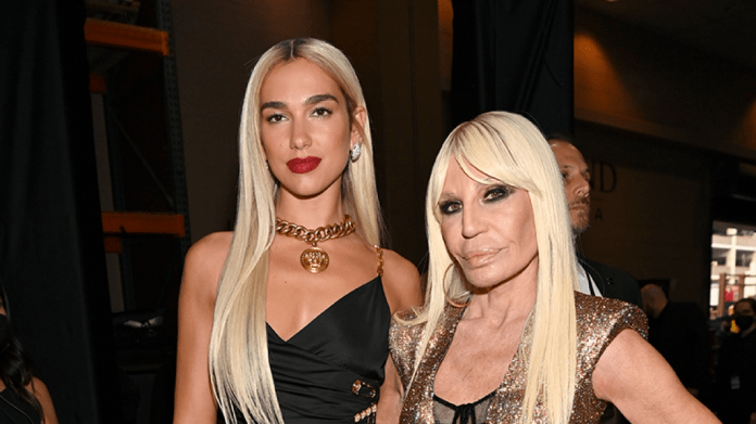 dua-lipa-versace-6453819397cdc-1130x635