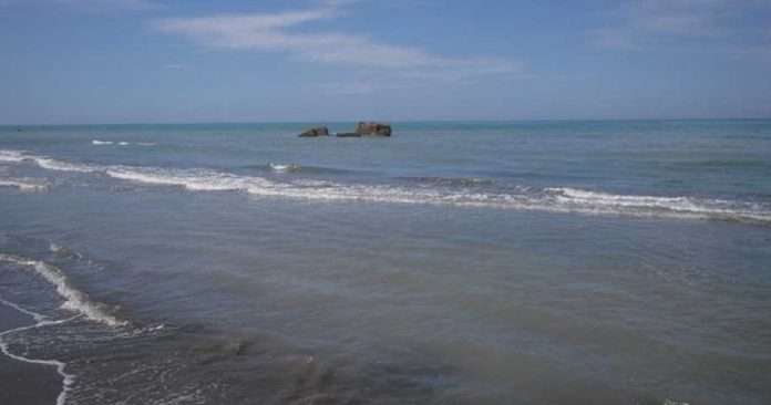 800-0-17fa1788a5353349ecf5f77c457d2700-1