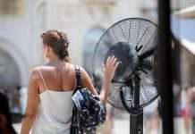 Temperaturat e larta kanë bërë që të rritet numri i të prekurve nga viruse të ndryshme