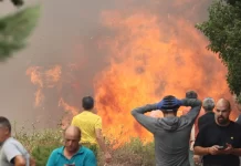 QMK: Dy zjarre ende aktive, katër nën kontroll