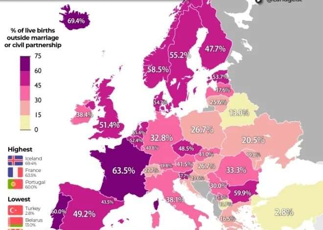 picture-441-660x500-1-660x470