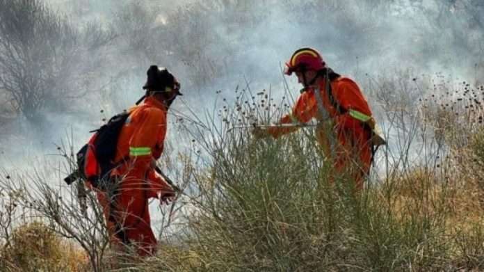 620BBB25-33CB-43A4-AAA4-90D07913DA05