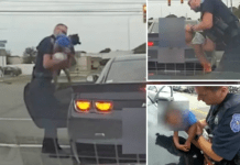 Polici ia shpëton jetën foshnjës që pushoi së marri frymë në Michigan