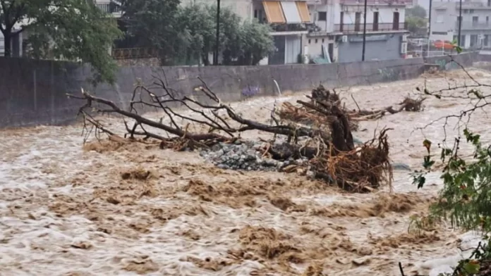 Untitled-design-2023-09-06T193804