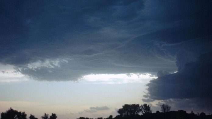 C569A8D2-2DC6-4732-A418-02F61A2C444C